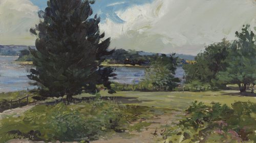 Toby's Tree, Brownsea Island
