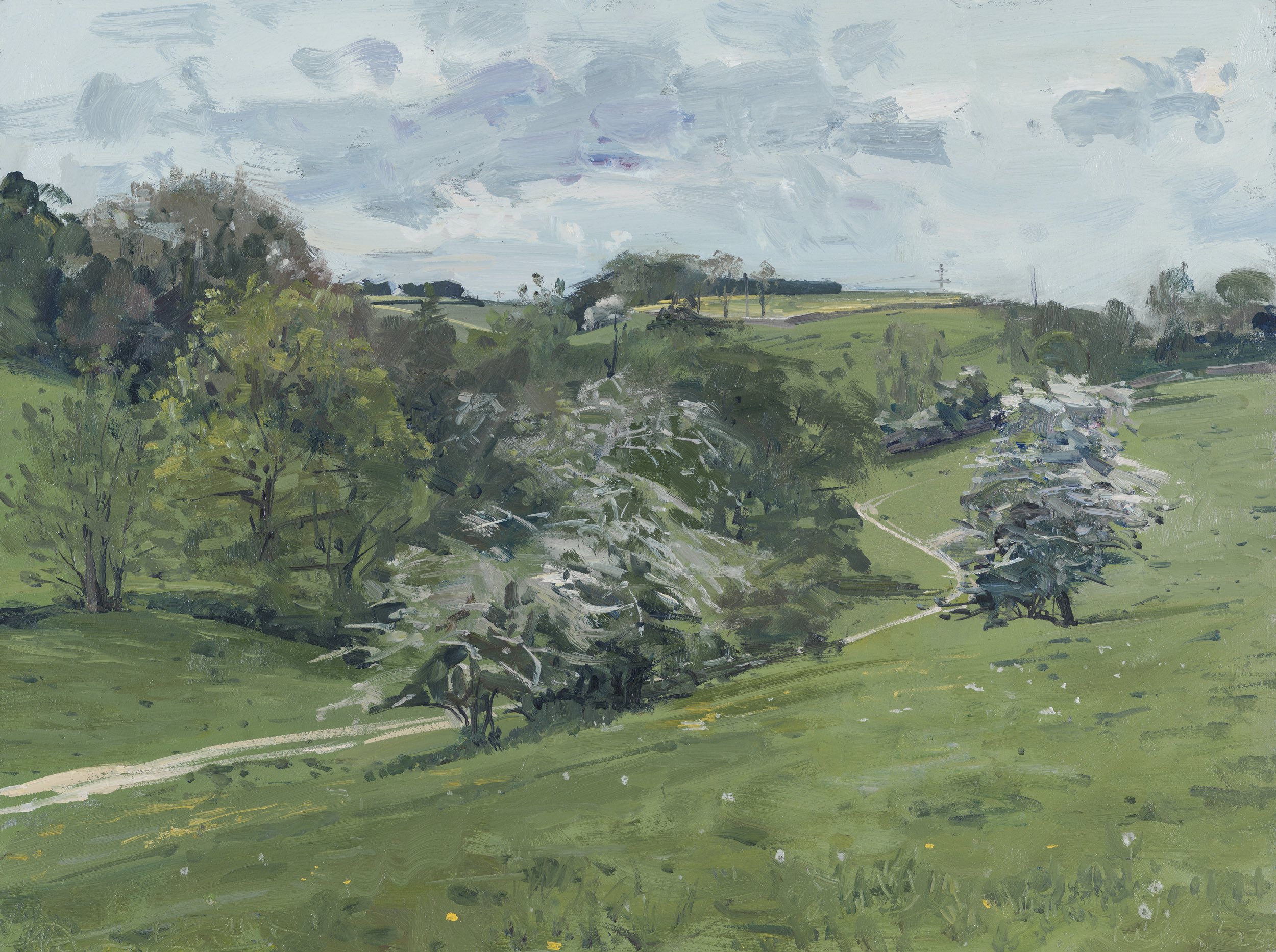 Valley with Hawthorn Blossom, Tormarton