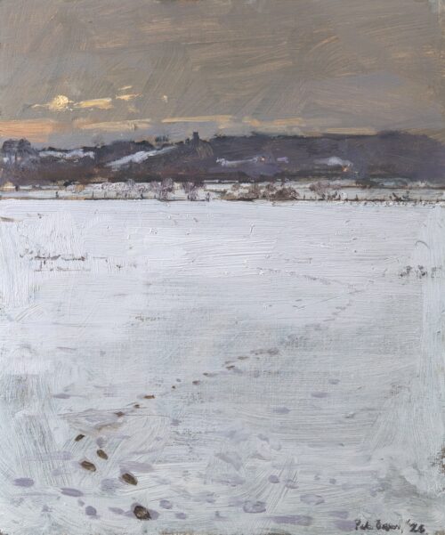 Late Afternoon, Snow, Staffordshire