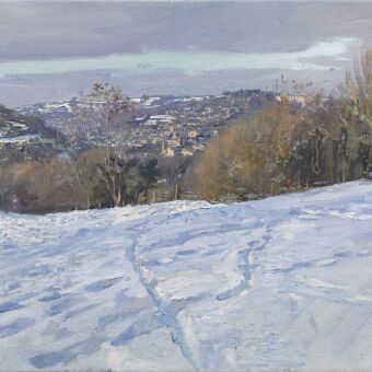 29 Footprints in the Snow, Rainbow Wood Fields