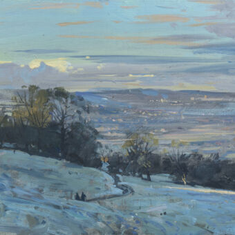 Fry's Chocolate Factory from the Edge of Pipley Woods, Frosty December Morning, 2020