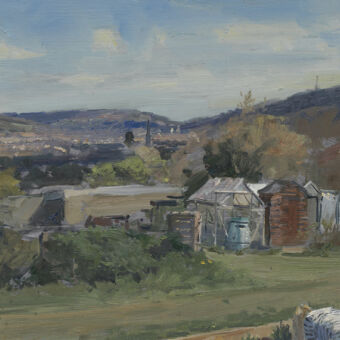 Monksdale Road Allotments III, April 2021