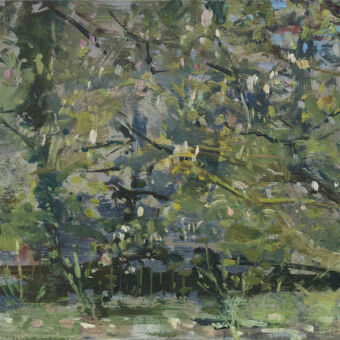 Magnolia, The Botanical Gardens